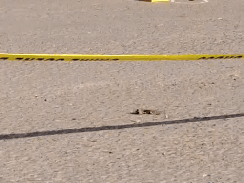 पुलिस को घटनास्थल से कई गोलियों के खोल मिल हैं। जिसकी जांच की जा रही है।