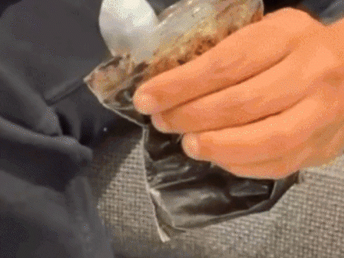 पंजाबी सिंगर प्रेम ढिल्लाे के हाथ में दिख रहा अफीम का पैकेट।