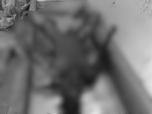 गर्म राख की चपेट में आने से मजदूर पूरी तरह झुलस गया।