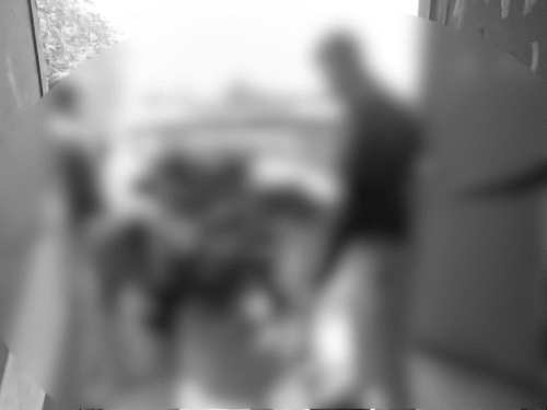 रेस्क्यू कर घायलों को बाहर निकाला गया, 6 लोगों की जिंदा जलकर मौत।