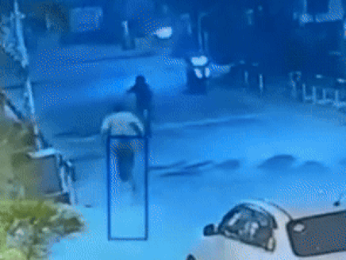 कार का ड्राइवर कुछ दूरी पर जाकर गिर गया। इस दौरान लोगों ने उसे पकड़ लिया।