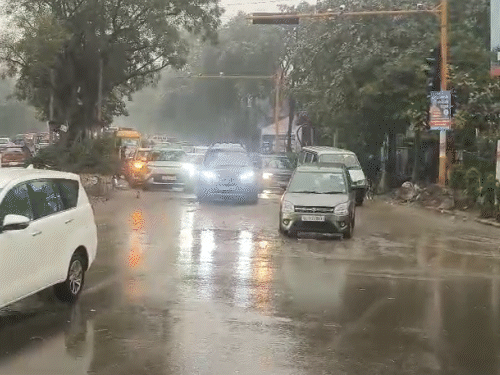 गाजियाबाद में बारिश हो रही है। सर्द हवा के साथ बारिश ने ठंड बढ़ गई है।