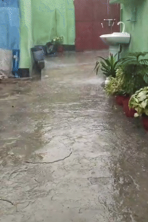 मेरठ के ललियाना गांव में तेज हवाओं के साथ बड़े-बड़े ओले गिरे। खेतों में खड़ी फसलें गिर गईं।