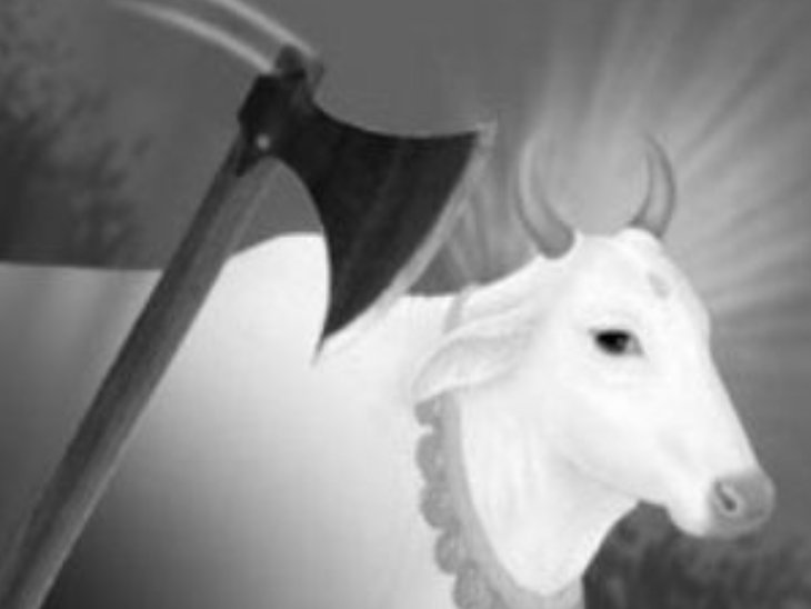 फाइल फोटो - Dainik Bhaskar