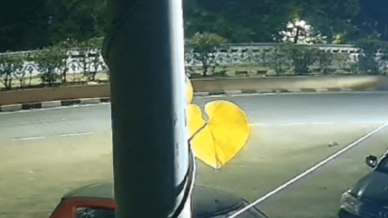 तेज स्पीड में स्कॉर्पियो के ड्राइवर ने बाइक सवार को टक्कर मारी दी। इससे वह घायल हो गया।