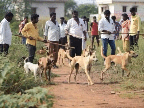 AI जनरेटेड - Dainik Bhaskar