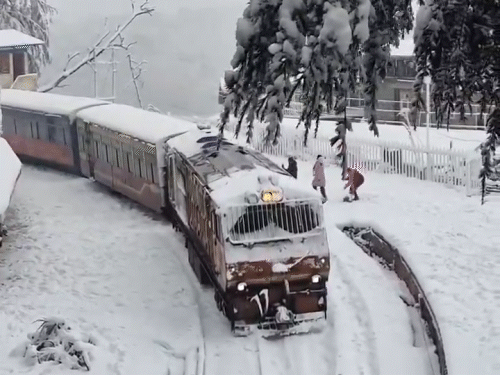शिमला के कालका-शिमला ट्रेन रूट पर बर्फबारी के बीच चलती टॉय ट्रेन।