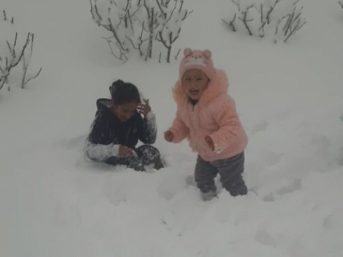 शिमला में बर्फ के बीच मस्ती करते हुए बच्चे।