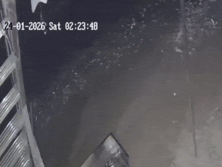 दादा-पोते को स्कॉर्पियो ने मारी टक्कर, हालत गंभीर