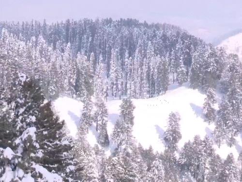 जम्मू-कश्मीर के गुलमर्ग में 2 दिन से लगातार बर्फबारी हो रही है।