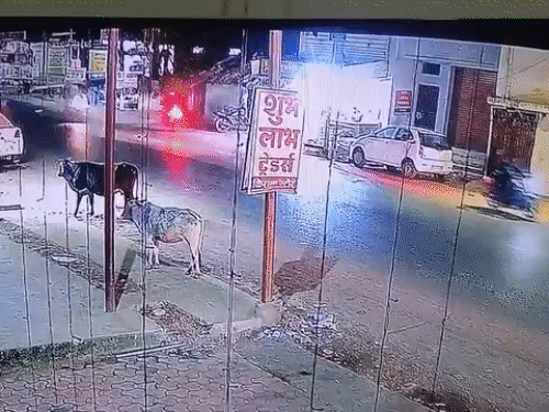 बताया जा रहा मृतक का दोस्त लापरवाही से बाइक चला रहा था।