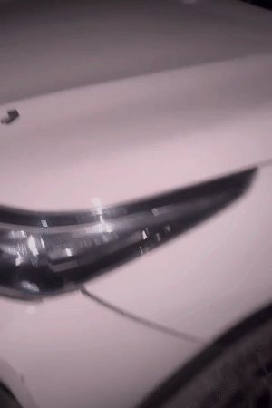 गाड़ी के बोनट में छेद हो गया और शीशा भी क्रैक हुआ।