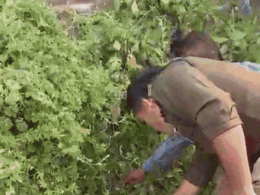 ग्रामीणों की सूचना पर पुलिस मौके पर पहुंची। नवजात को अस्पताल लेकर पहुंची।