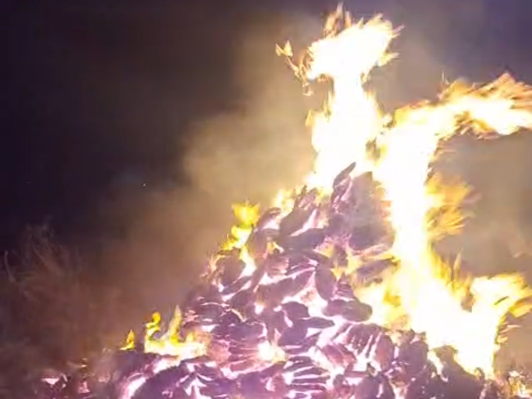 Bitoda Image Bagpat Fire: Bitoda Torched; Police Probe, Public Demands Action