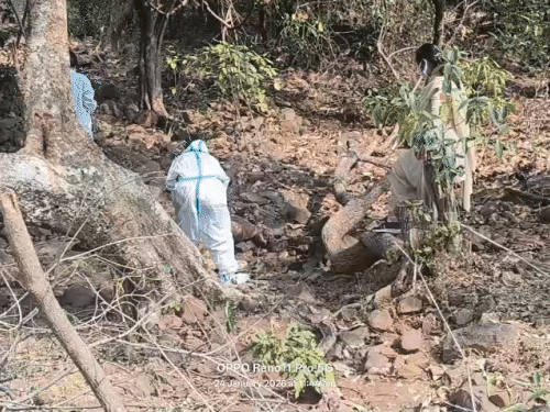 महिला की लाश मिलने की सूचना मिलने पर जांच के लिए डौंडीलोहारा थाना की पुलिस मौके पर पहुंची।