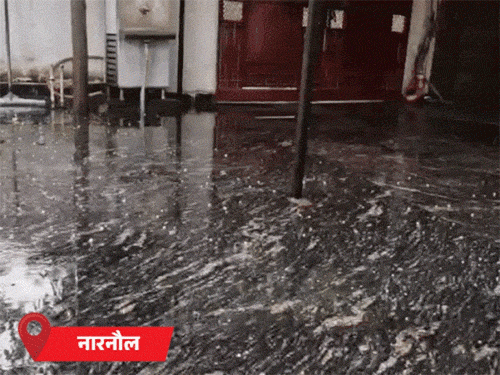 हिसार, फतेहाबाद, भिवानी औश्र नारनौल में बारिश के साथ ओले गिरे।