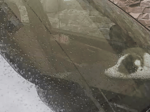 जालंधर में बूंदाबांदी शुरू हो गई है।