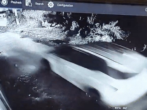 नेछवा कस्बे में घटना स्थल से करीब 300- 400 मीटर दूर सीसीटीवी कैमरे में चोर भागते हुए कैद हो गए। वीडियो में पहले चोरों की क्रेटा गाड़ी फिर स्कॉर्पियो नजर आ रही है।