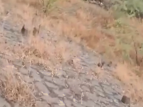 विमान के मलबे से उठता काला धुआं।