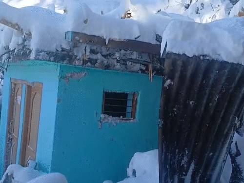 हिमाचल प्रदेश के भरमौर में भारी बर्फबारी के बाद पेड़ गिरने से प्राइमरी स्कूल थोकला की रसोई घर टूट गई।