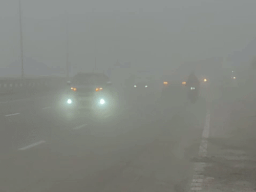 जयपुर-दिल्ली नेशनल हाईवे पर गुरुवार को घना कोहरा रहा। विजिबिलिटी 30 मीटर के करीब रही।