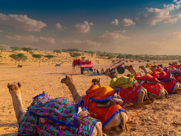 जैसलमेर-बाड़मेर और बीकानेर जैसे जिलों में डेजर्ट टूरिज्म तेजी से बढ़ रहा है।