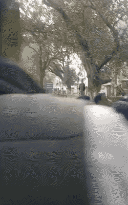 चीफ प्रॉक्टर खुद मोर्चा संभालने जा रहे थे, लेकिन 5-6 सुरक्षाकर्मियों ने उनको रोक लिया।