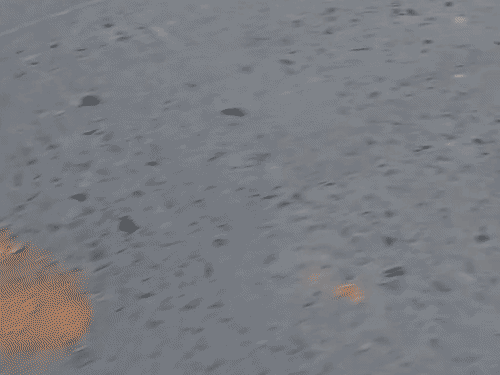 पथराव के बाद सड़क पर बड़े-बड़े ईंट-पत्थर बिखरे पड़ा रहे।