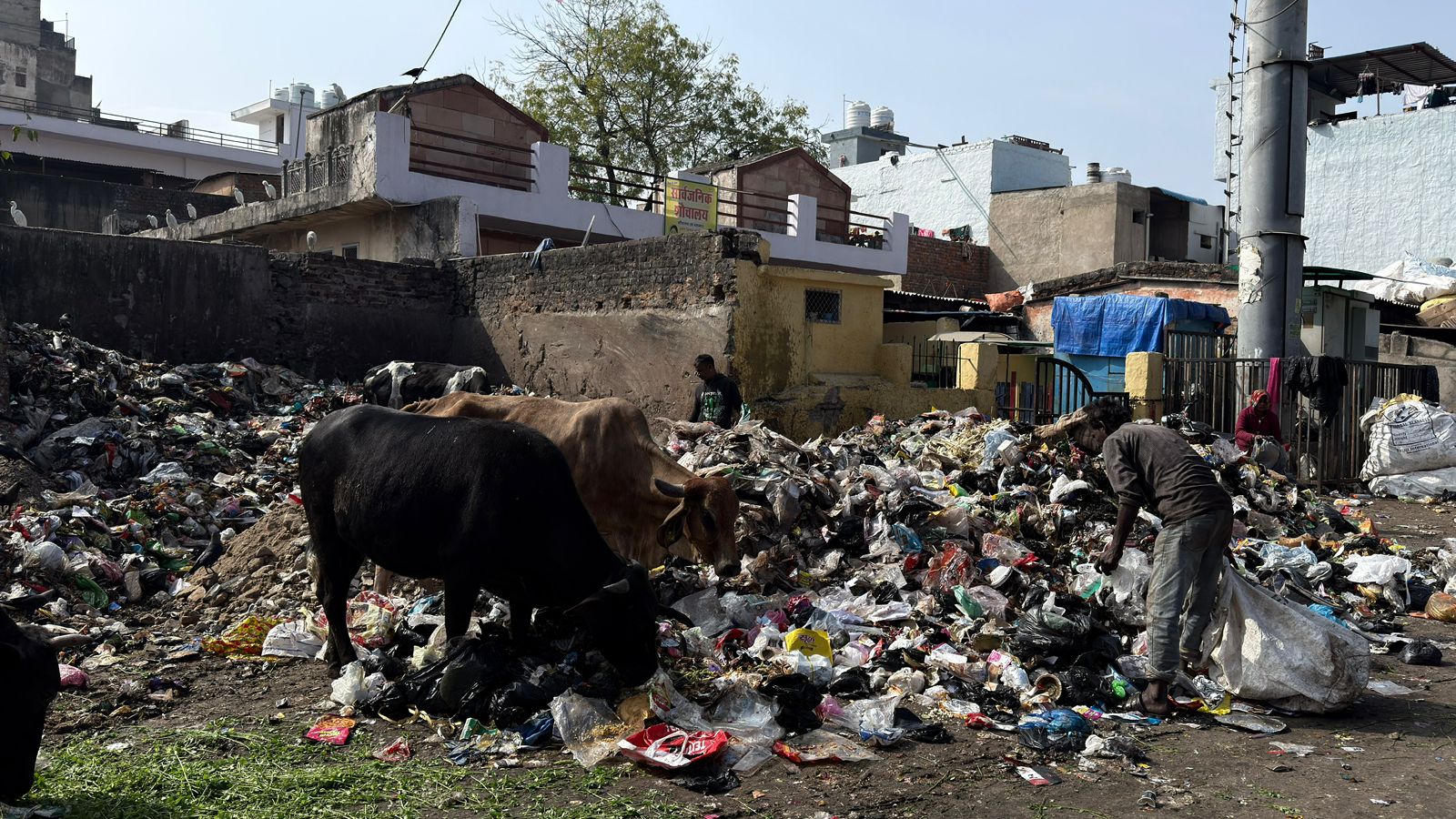 सफाई कर्मचारियों के हड़ताल से शहर की सफाई व्यवस्था बिगड़ गई है।