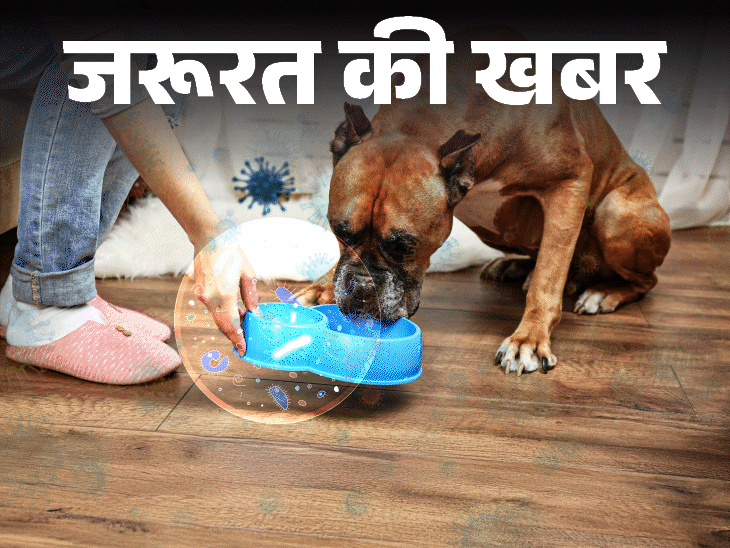 প্রয়োজনীয় খবর – টয়লেট সিটের চেয়ে এখানে ব্যাকটেরিয়া বেশি: রোগের ঝুঁকি বাড়ায়, নিয়মিত পরিষ্কার করা প্রয়োজন, 10টি স্বাস্থ্যকর স্বাস্থ্যবিধি অভ্যাস