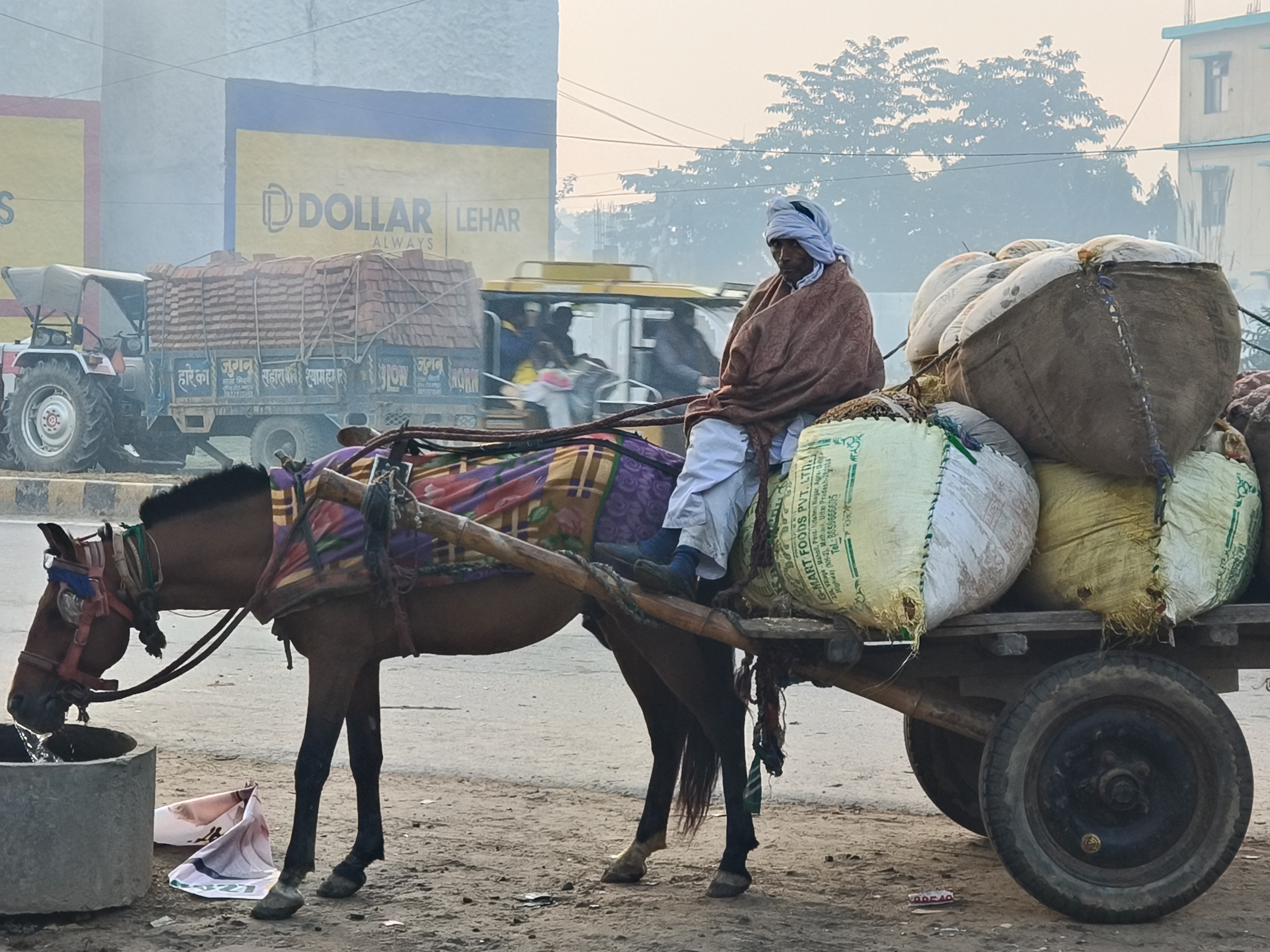 Mathura has a temperature of 10°C.