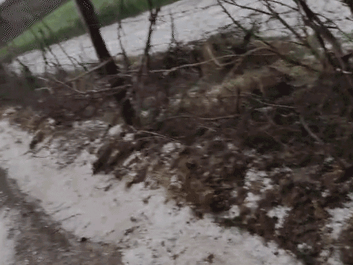 जनवरी में कई स्थानों पर बारिश के साथ ओले गिरे, जिससे फसलें प्रभावित हुईं।