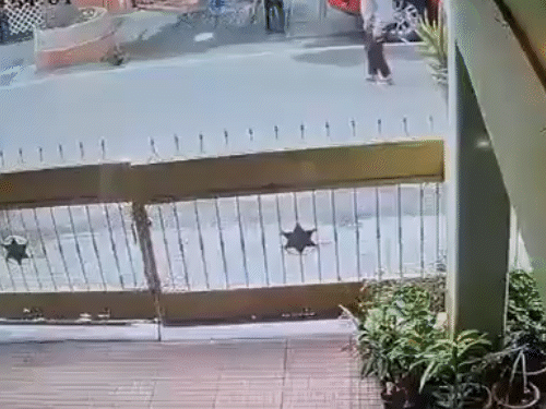 કર્ણાટકની રાજધાની બેંગલુરુમાં મોર્નિંગ વોક દરમિયાન એક મહિલા પર પાલતુ કૂતરાએ જીવલેણ હુમલો કર્યો.