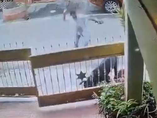 કૂતરાએ અચાનક મહિલા પર હુમલો કર્યો અને તેની ગરદન, ચહેરા, હાથ અને પગ પર કરડ્યો.