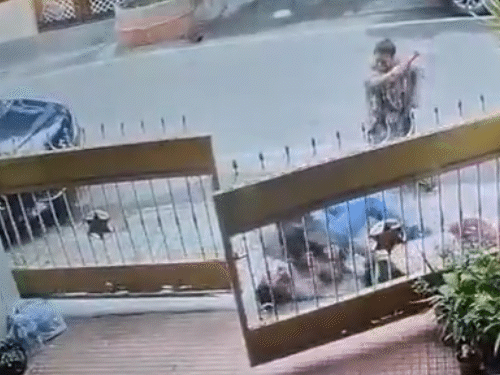 આ દરમિયાન એક યુવકે મહિલાને કૂતરાથી બચાવી.