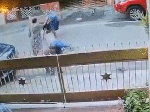 કૂતરો કોઈની પણ પકડમાં ન આવ્યો અને તેનો માલિક જબરદસ્તી પકડીને લઈ ગયો.