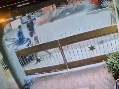 કૂતરો તો પણ શાંત ન થયો અને ફરીથી ઘરમાંથી બહાર નીકળીને લોકો પર હુમલો કરવા લાગ્યો.