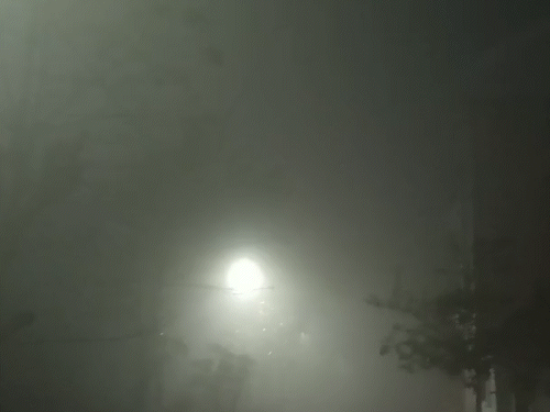 अलीगढ़ में तड़के से ही घना कोहरा छा गया। सुबह बहुत जरूरी होने पर ही लोग घरों से निकले।