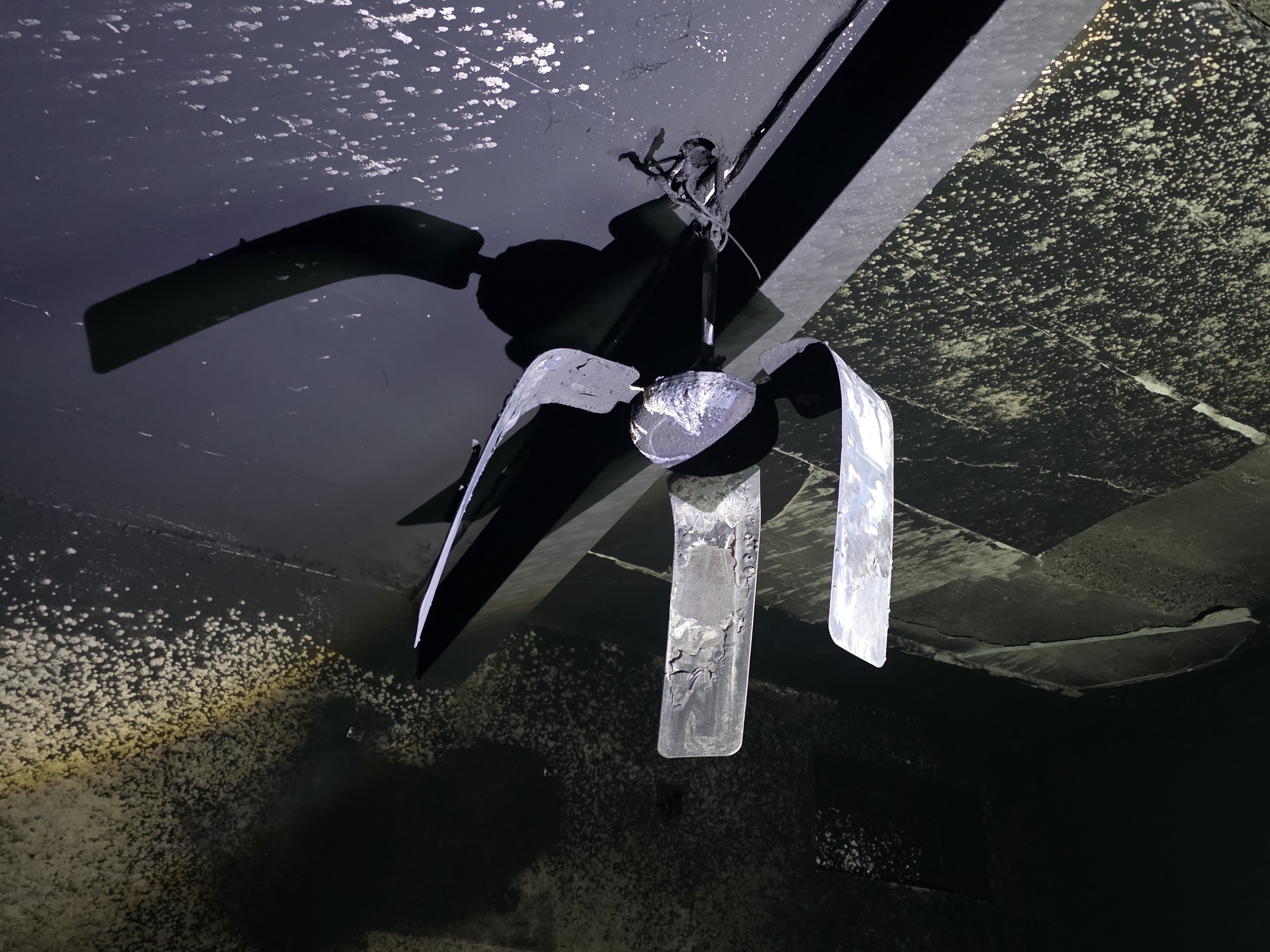 लकड़ी के दरवाजे, कपड़े, अनाज सहित घरेलू सामान जलकर नष्ट हो गया, जिससे गरीब परिवार को काफी आर्थिक नुकसान हुआ है।