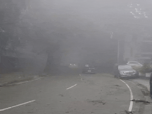 चंडीगढ़ में शुक्रवार सुबह घना कोहरा छाया रहा।