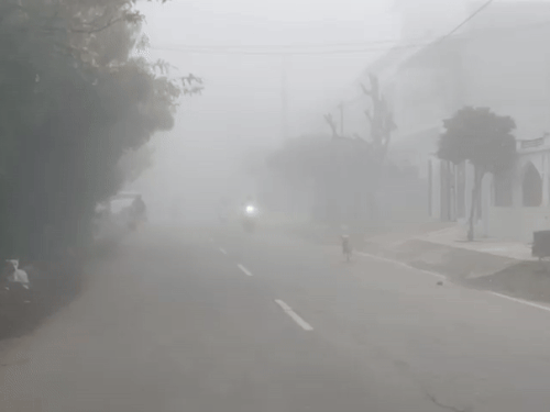 हिसार के सेक्टर 16-17 में शुक्रवार सुबह घना कोहरा छाया रहा।
