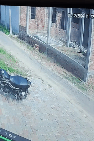 एक CCTV फुटेज सामने आई है। बताया जा रहा है कि इसी थार में युवक को लूटकर खेत में फेंका गया। इसके बाद थार सवार लोग भाग गए।