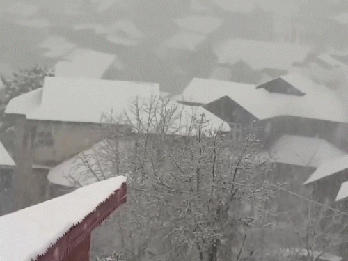 जम्मू-कश्मीर के अनंतनाग और कुलगाम जिले में भी बर्फबारी हुई।