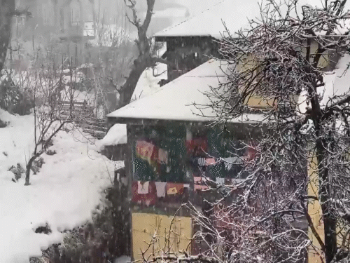 जम्मू-कश्मीर के भद्रवाह में बर्फबारी हो रही है।