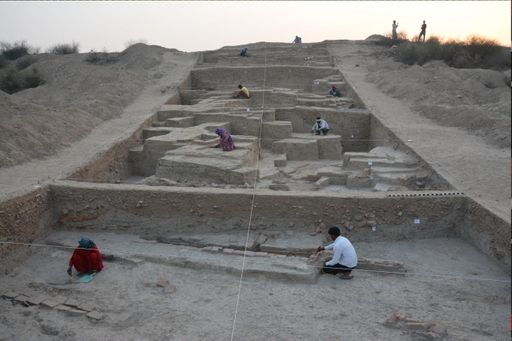 राखीगढ़ी में बनी प्राचीन साइटों पर खुदाई करती एएसआई की टीम।