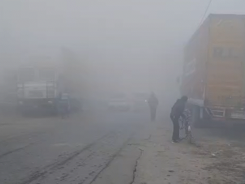 यूपी के गोरखपुर में कोहरे के कारण सड़कों पर विजिबिलिटी 20 से 30 मीटर है।