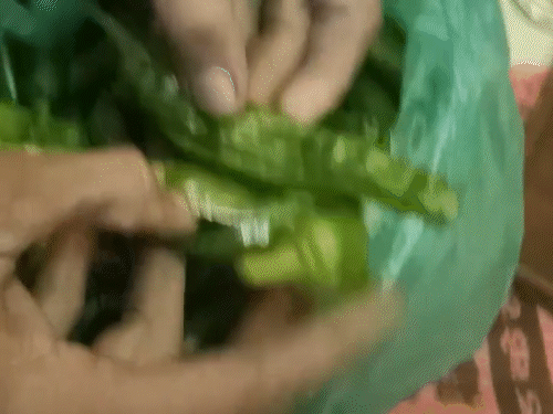 हैदराबाद पहुंचने के बाद ड्राइवर ने मिर्च के पार्सल को देखा था। मिर्च को काटकर देखा तो फॉयल पेपर के अंदर ड्रग्स मिला।