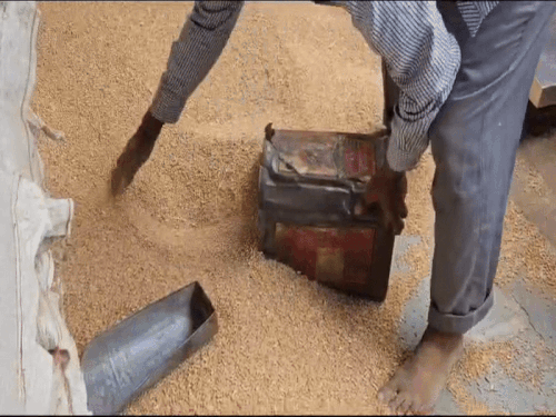 फाइल फोटो