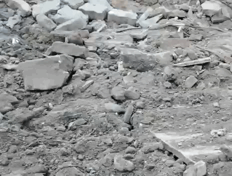 इस दौरान कई कच्चे पक्के निर्माण को हटाया गया