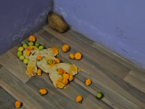 दुर्ग पुलिस ने तंत्र-मंत्र के नाम पर ठगी करने वालों को गिरफ्तार किया है।